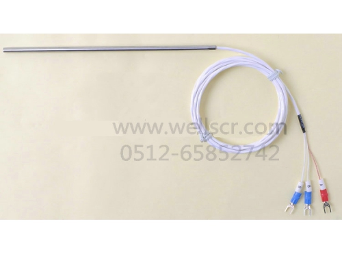 WR25直接出線桿式  高精度熱電阻