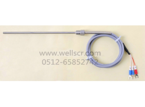 WR21 螺紋焊接桿式  高精度熱電阻